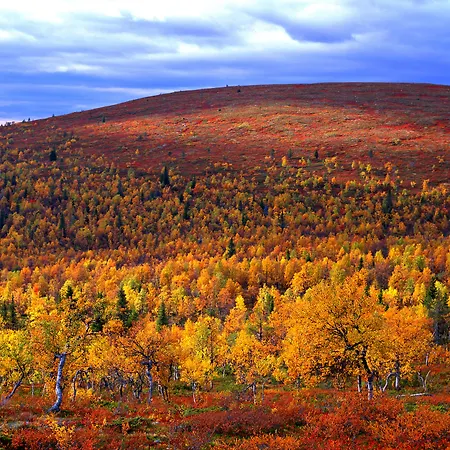 Lapland Aekaeshotelli Otel 4*