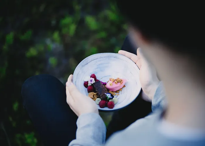 Lapland äkäshotelli 3*